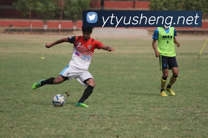 半岛官网在线登录APP 封面图